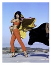 Raquel Welch Bull Fighting II