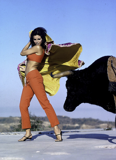 Raquel Welch Bull Fighting II